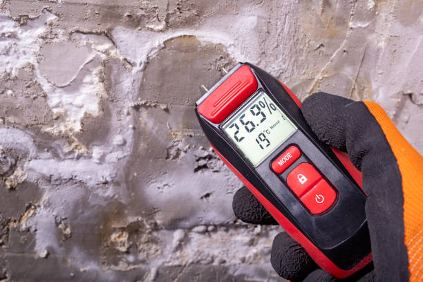 Best Preventive Mold Services in Middlefield, OH