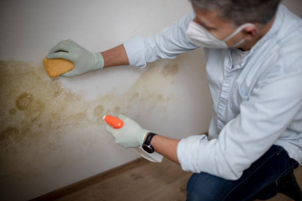 Best Industrial Mold Remediation in Middlefield, OH